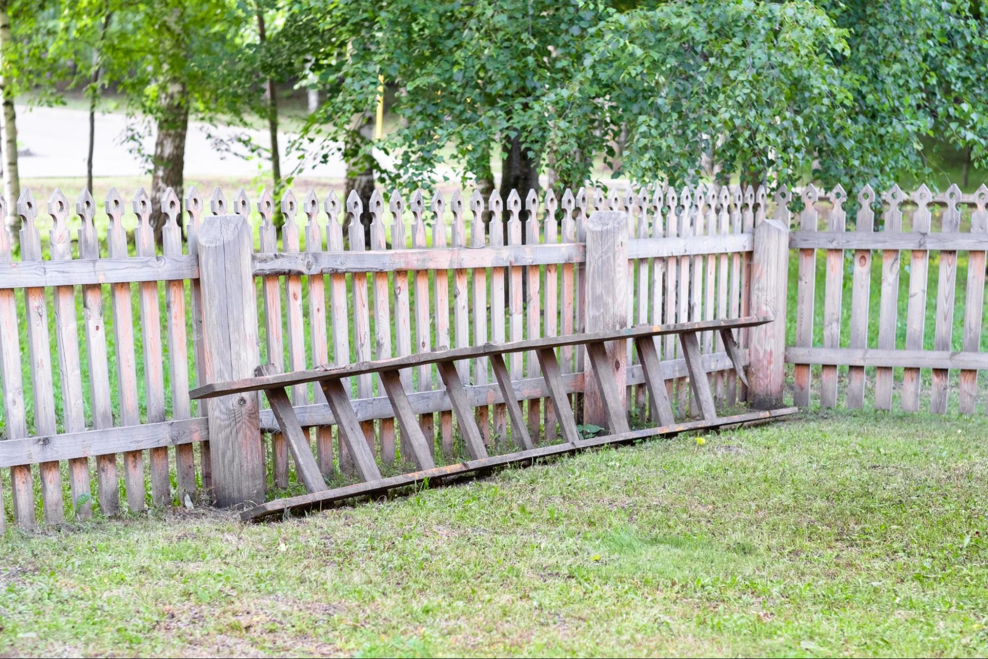A wooden staircase leans against the wooden fences.