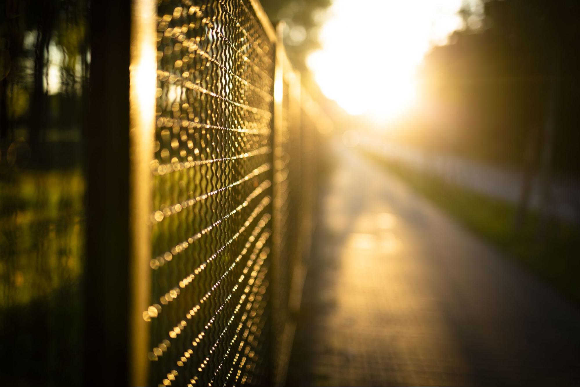 Fence with sunshine in the background.