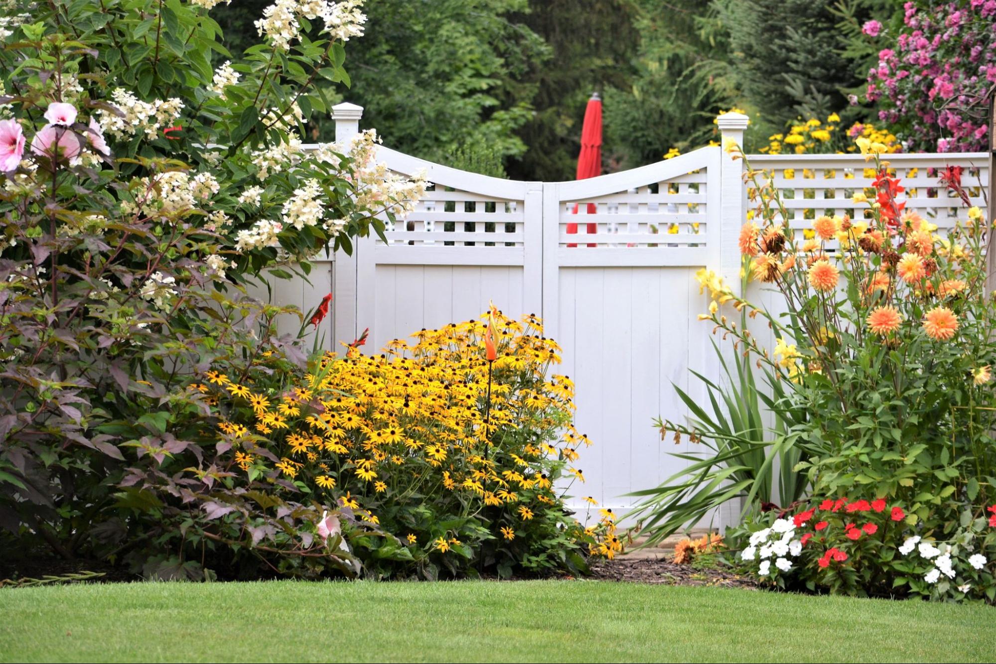 Colorful plants surround a minimalist white fence and trees.