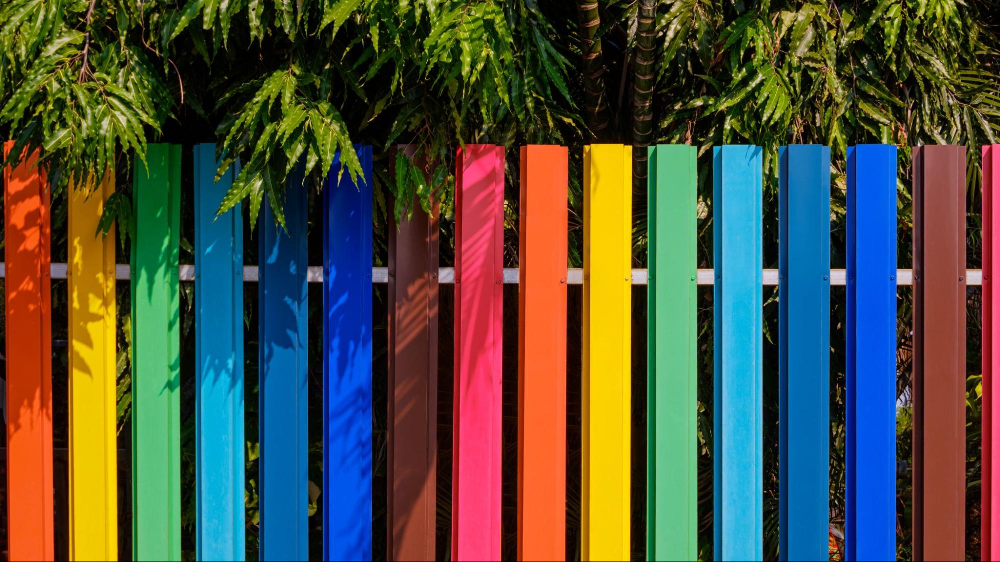 A colorful aluminum fence with rainbow hues surrounded by mango and palm trees in the backyard.
