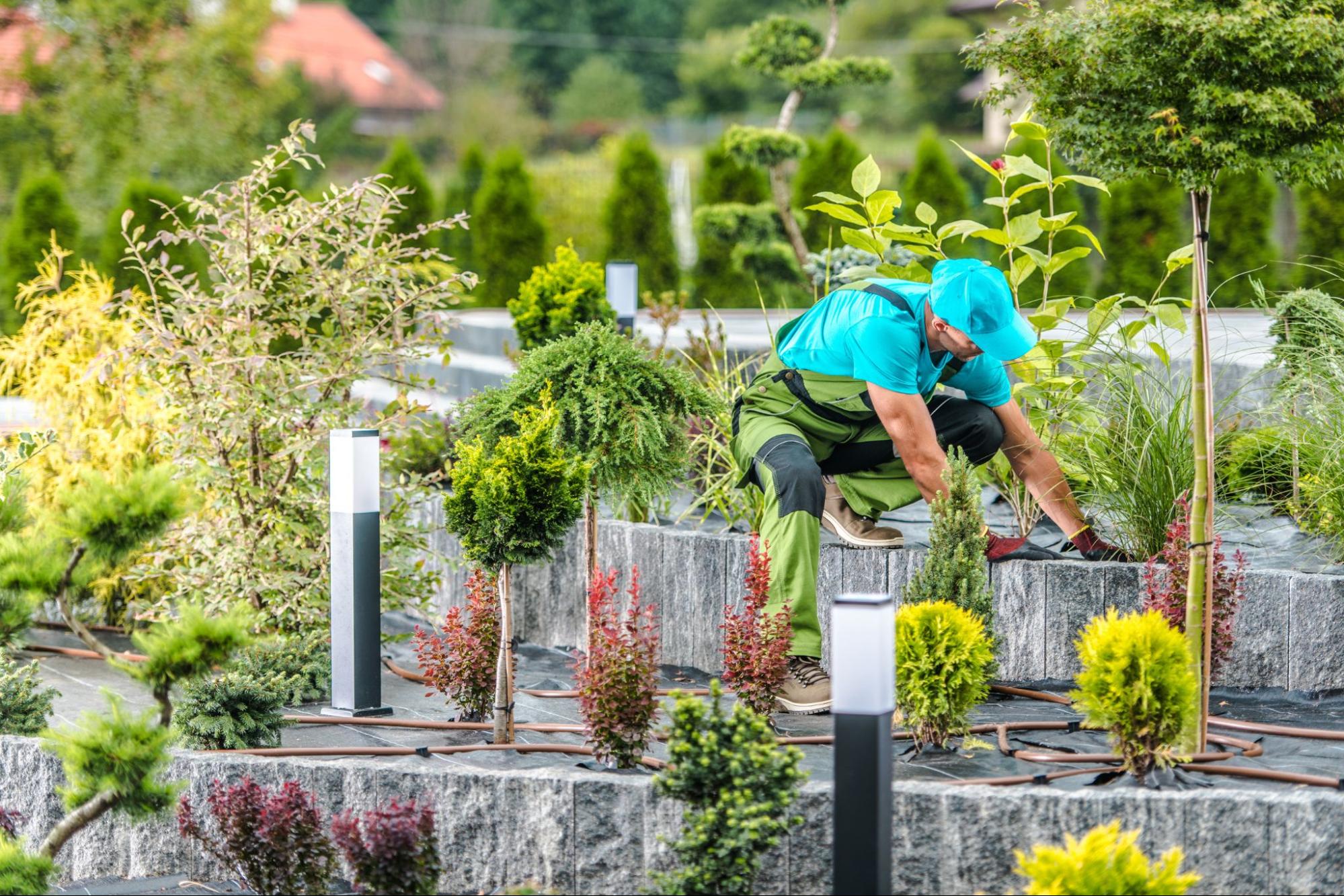 A male gardener is checking the plants in the garden.