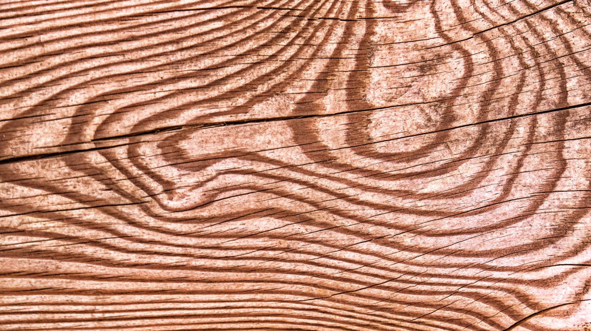 Texture of wood.