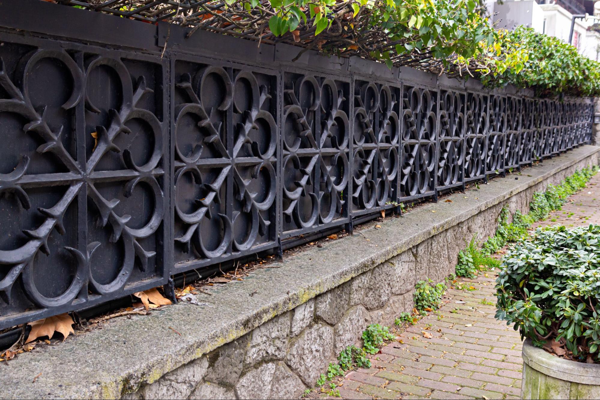 A close-up of an old black ornate metal fence, with a green hedge behind it, adjacent to a concrete sidewalk and a plant box.