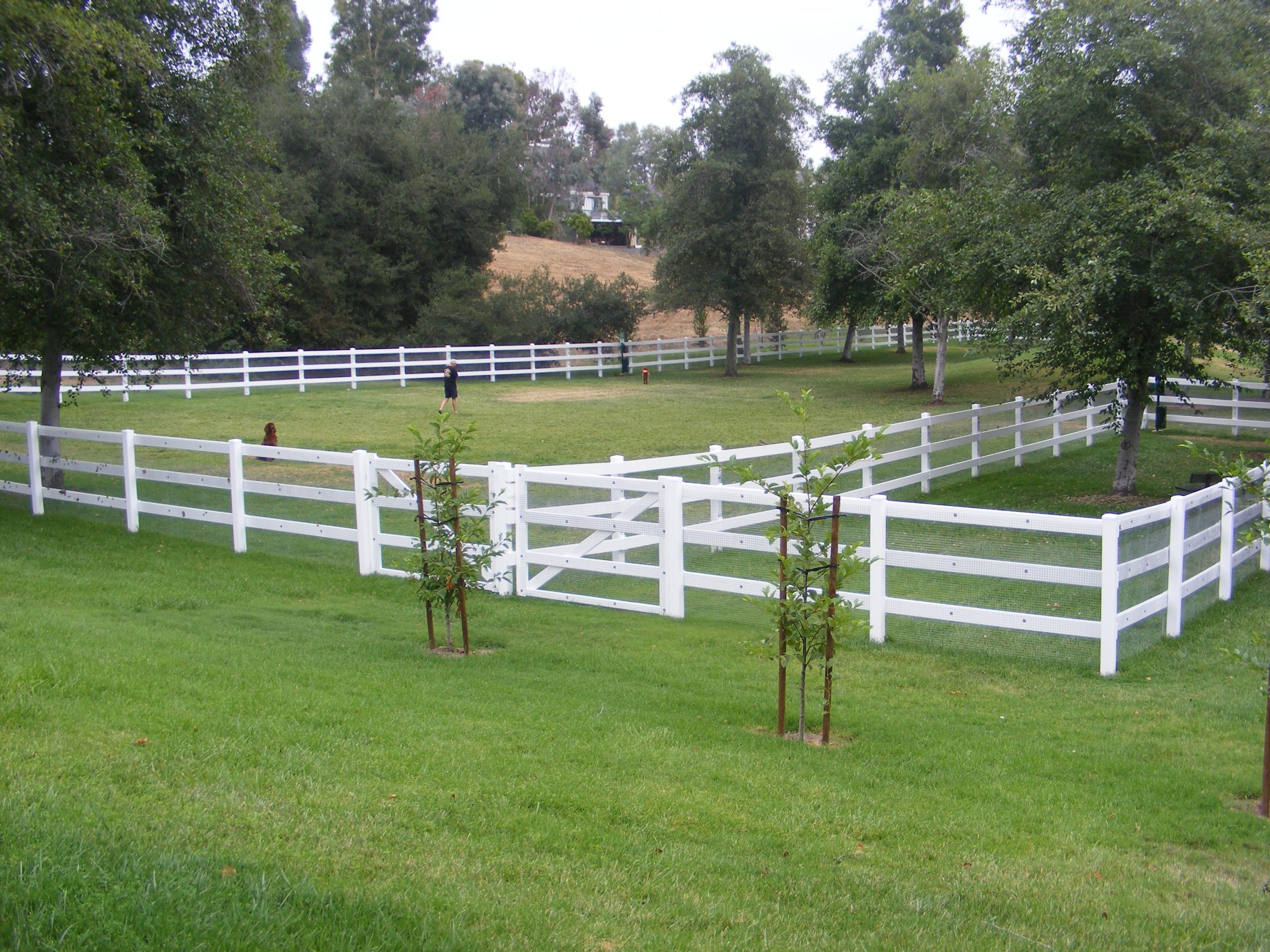 vinyl fence 1