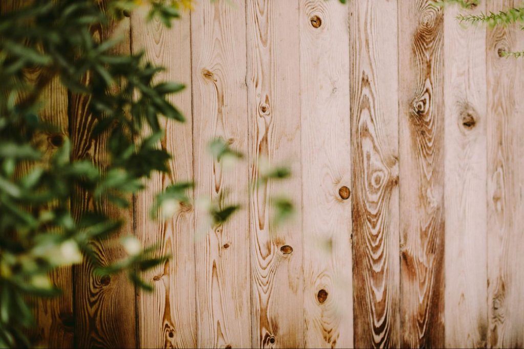 Wood fence next to plants. 