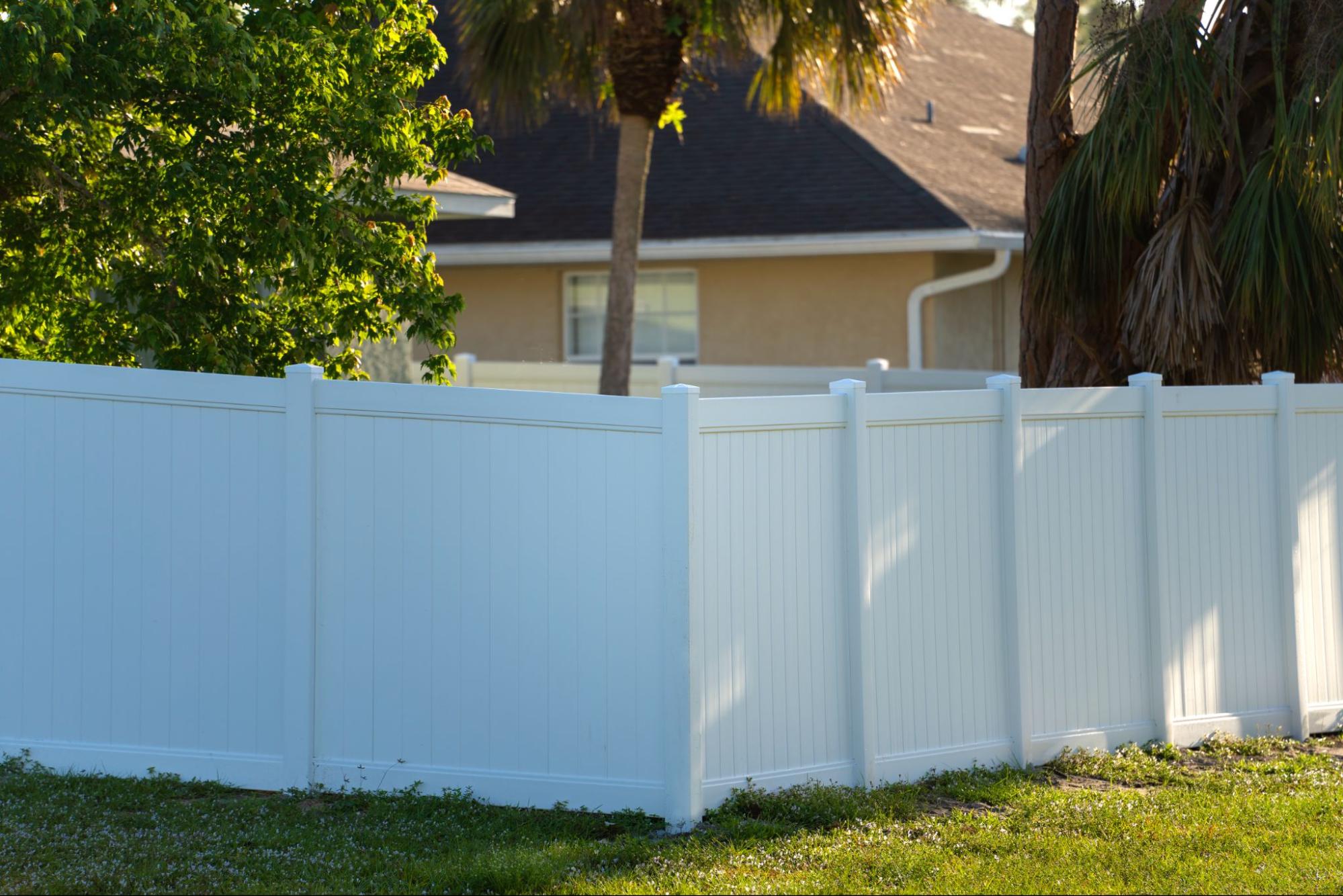 Vinyl fence in a backyard next to a palm tree. 