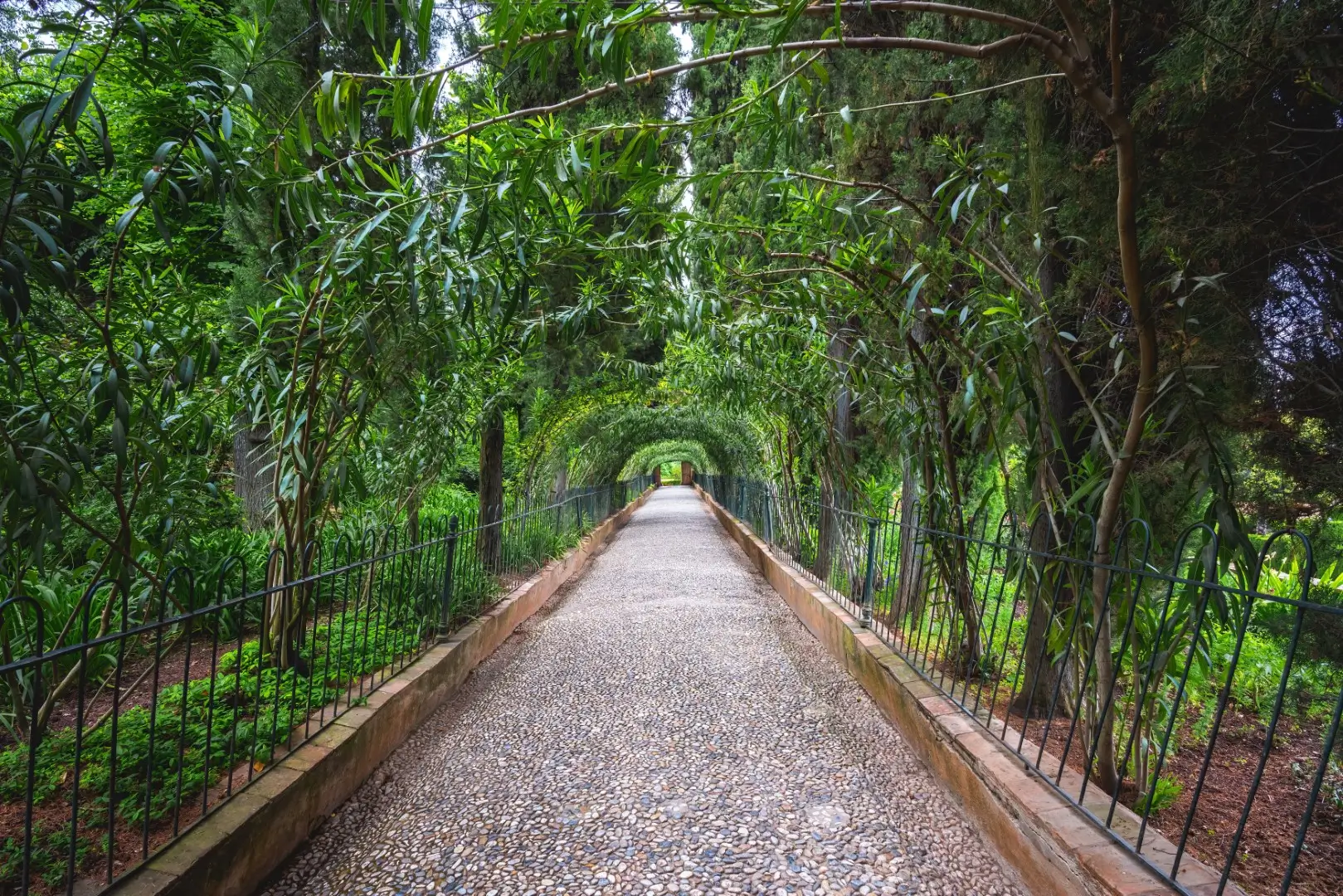 A blooming jasmine-lined avenue leads to an estate with a sleek steel fencing gate.