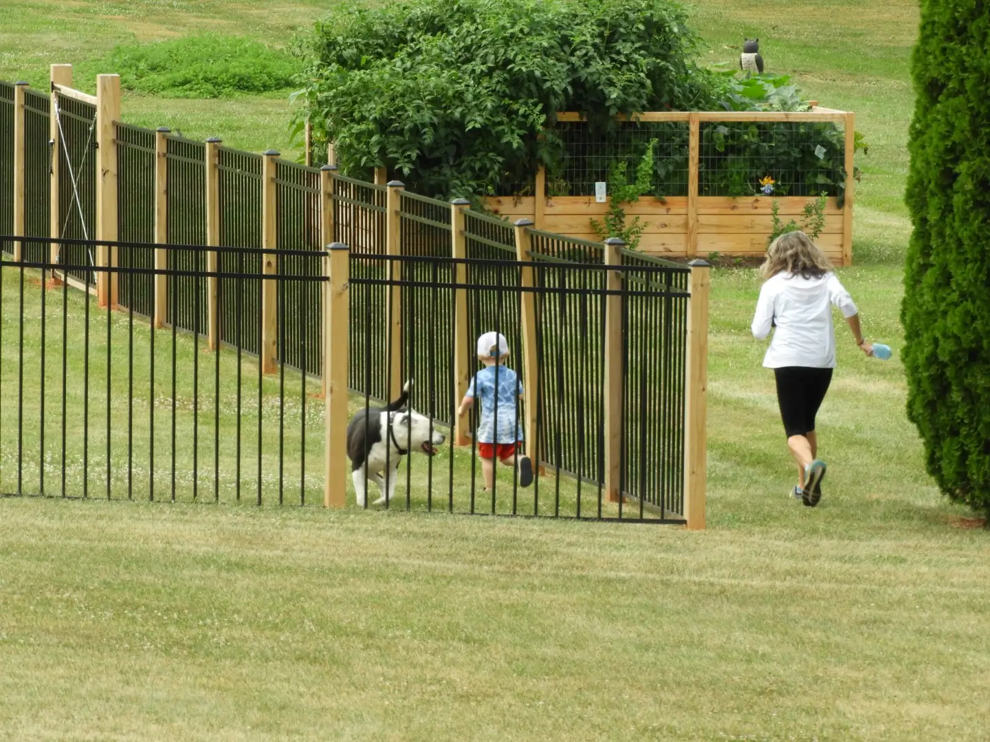 A child and dog are running on one side of the fence while the mom is following on the other.