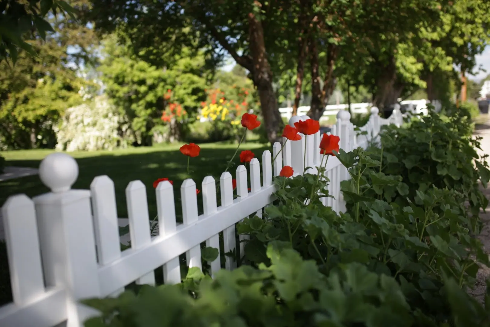 A white vinyl picket fence secures the backyard.