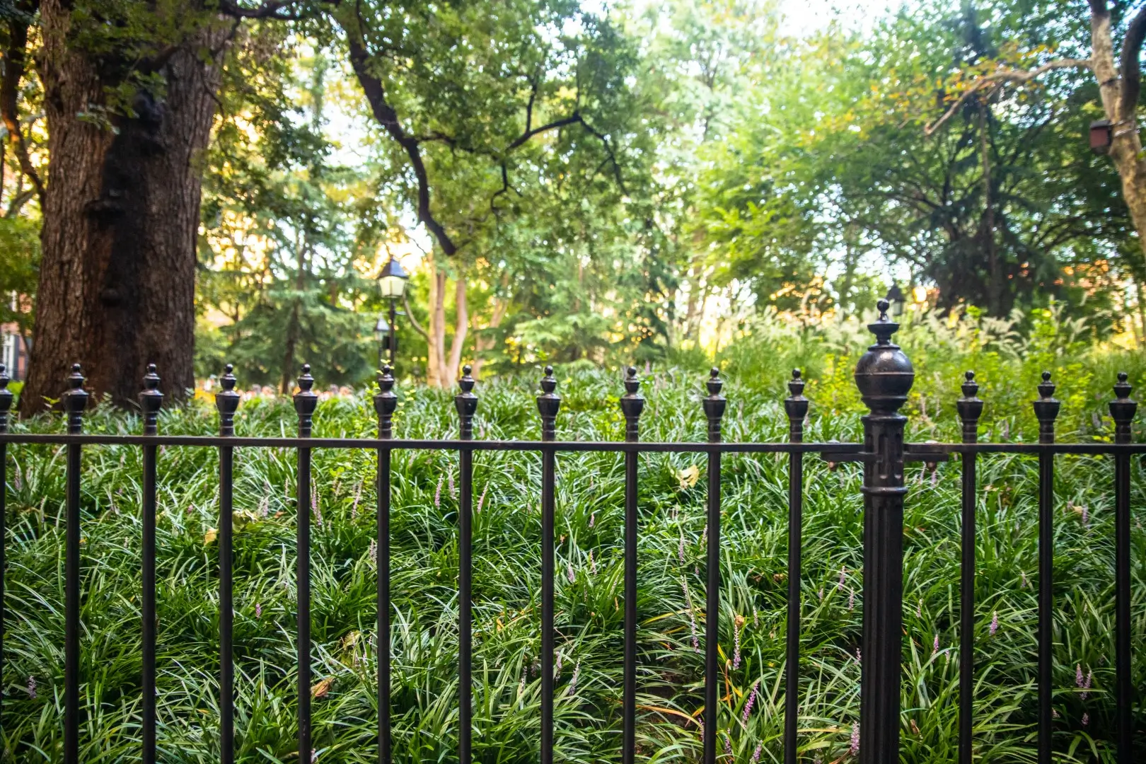 Ornate fence with shrubbery in the background.