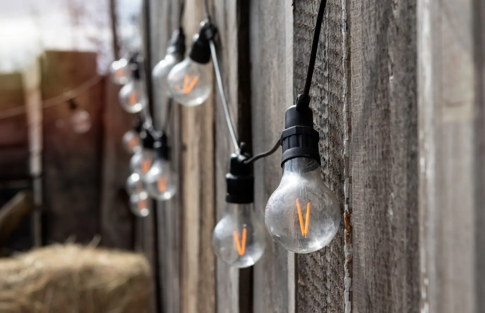 String lights on a wood fence.