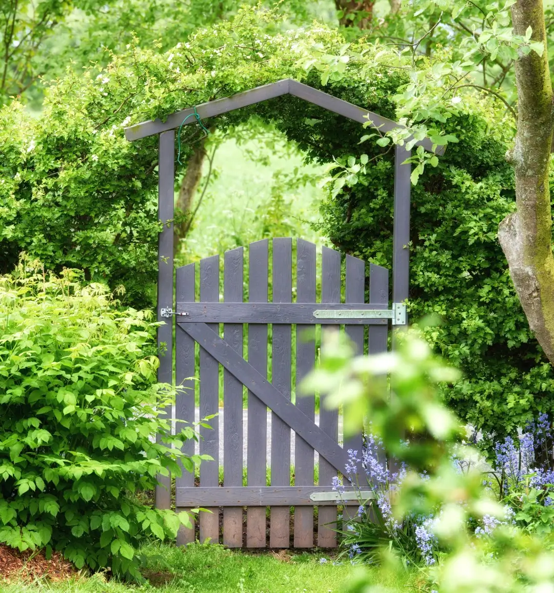 Wooden gate next to shrubbery.