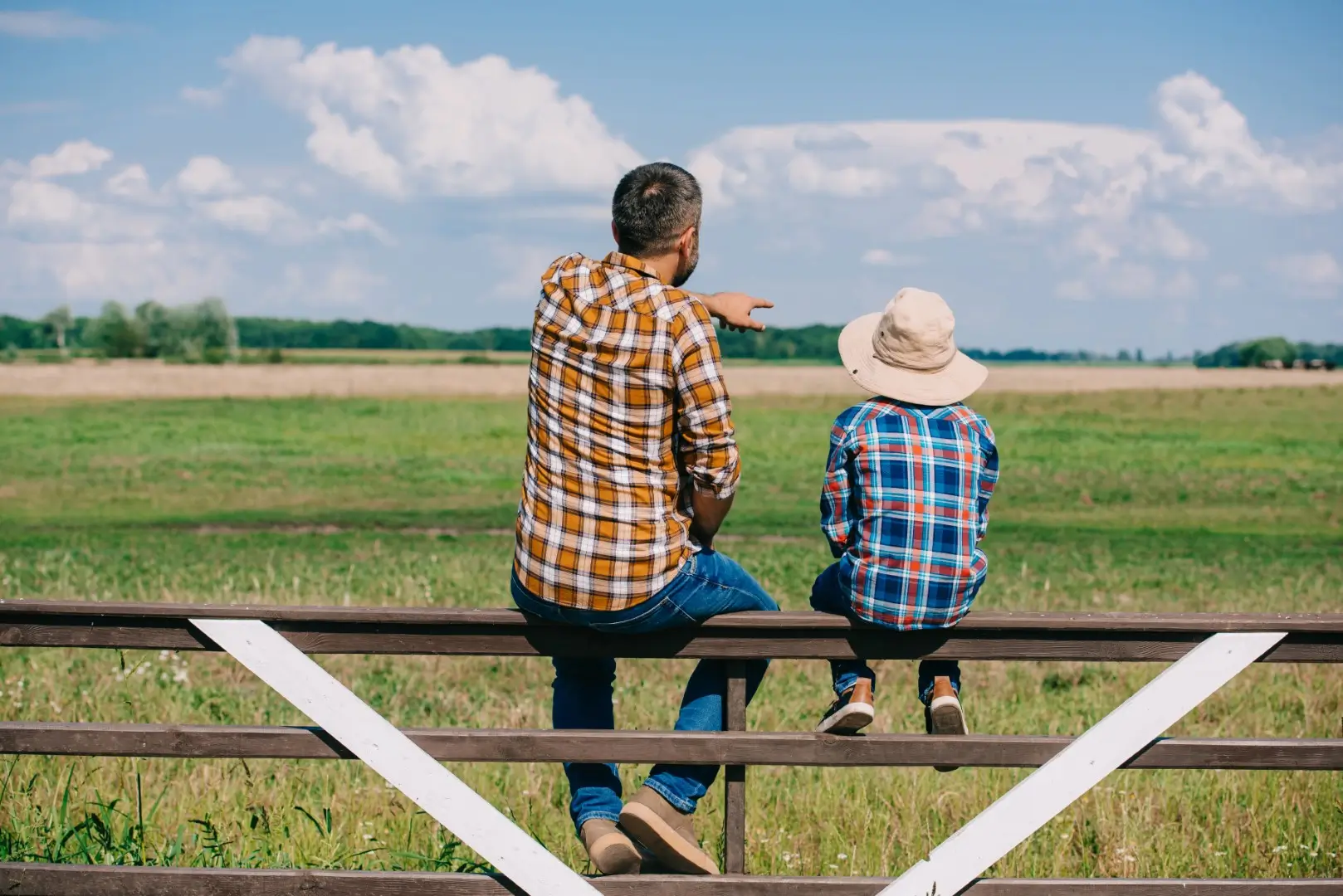 back view of father and son sitting on fence and looking at green field.